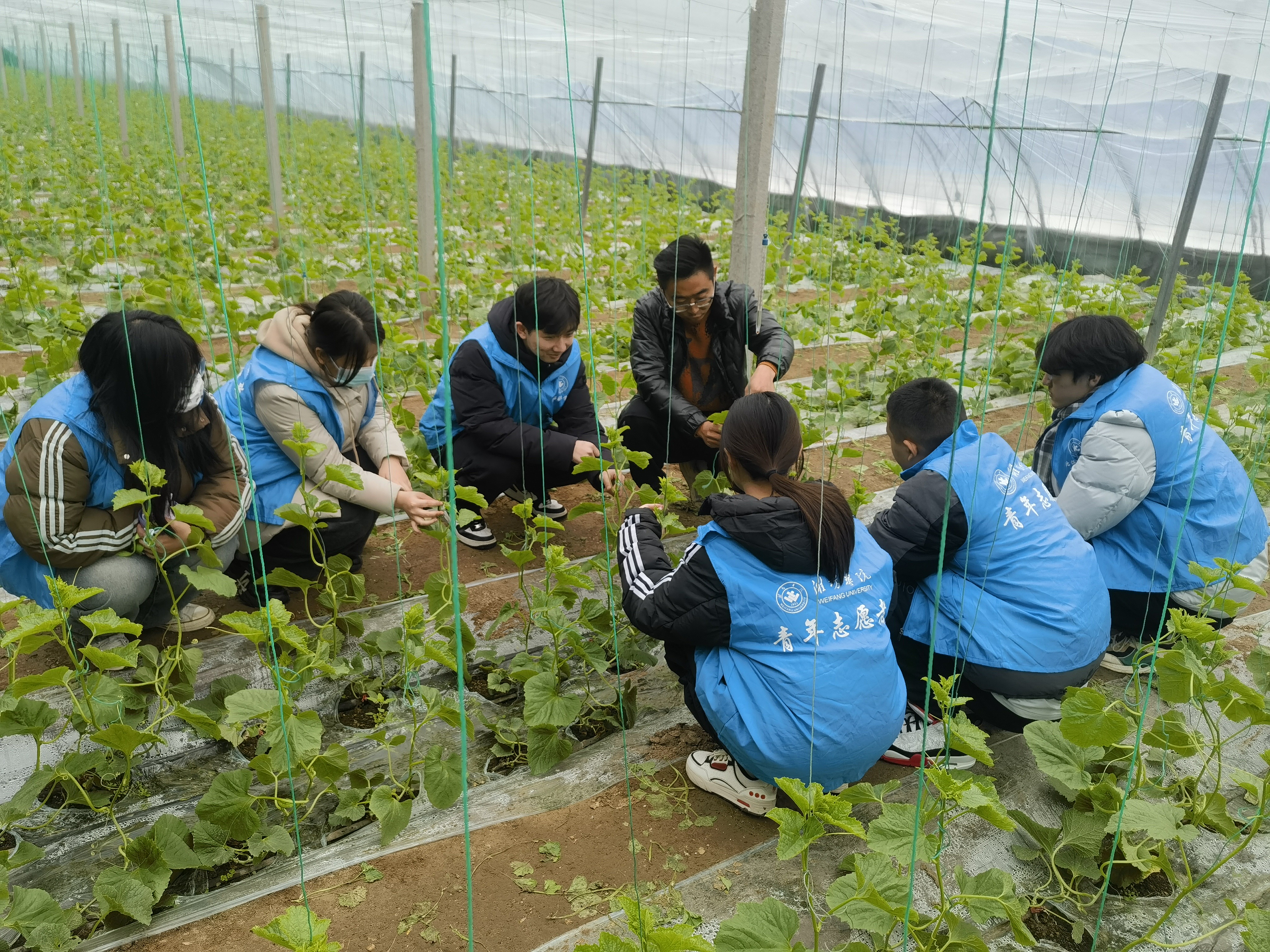 青春护电暖乡野 笃行践责赴一线——山西电力职业技术学院2026年寒假三下乡实践纪实